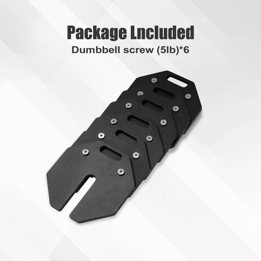 Octagonal Dumbbell Pieces*6